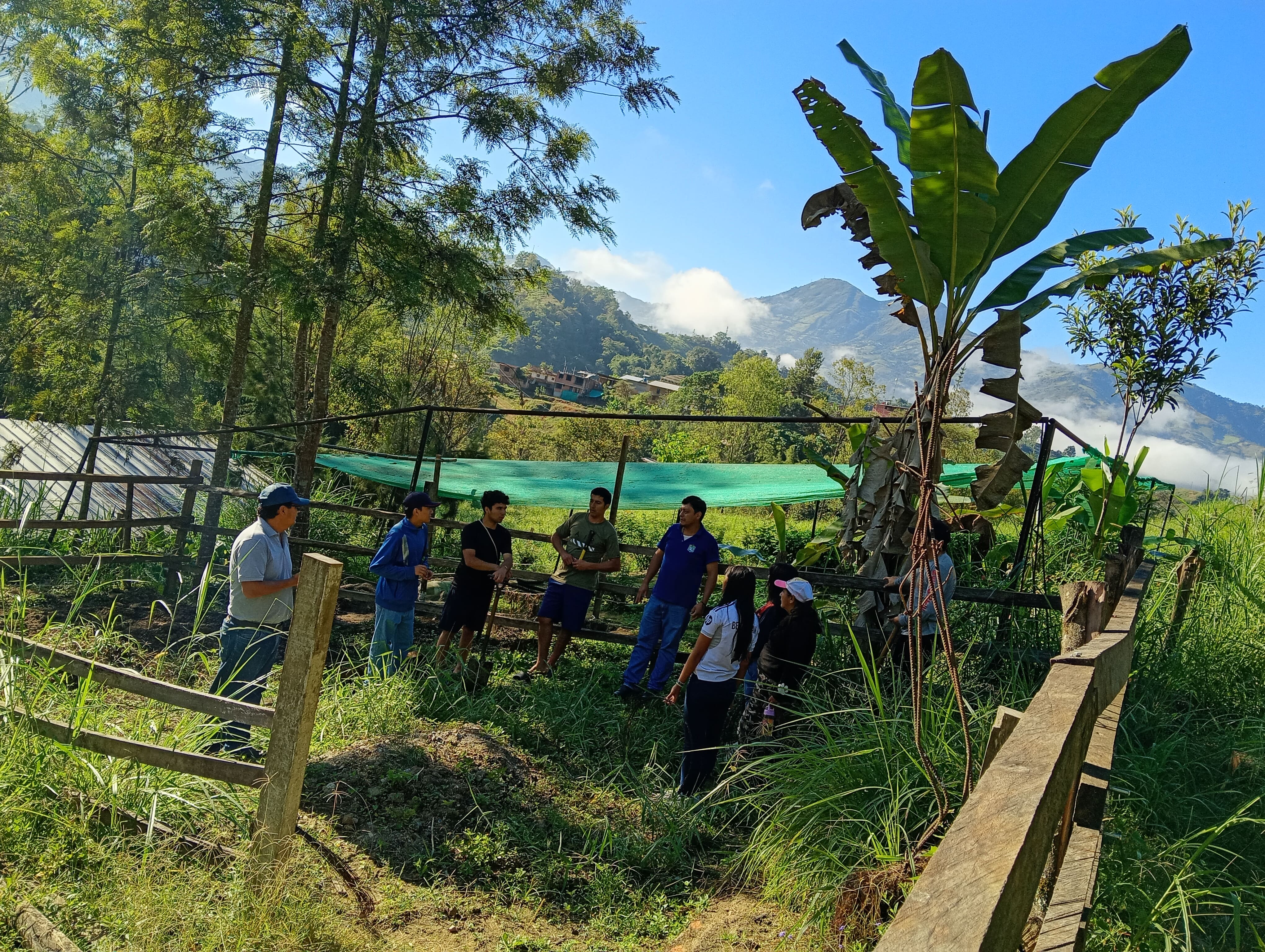 Producción Agropecuaria